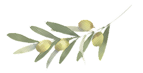 Zeytin Dalı